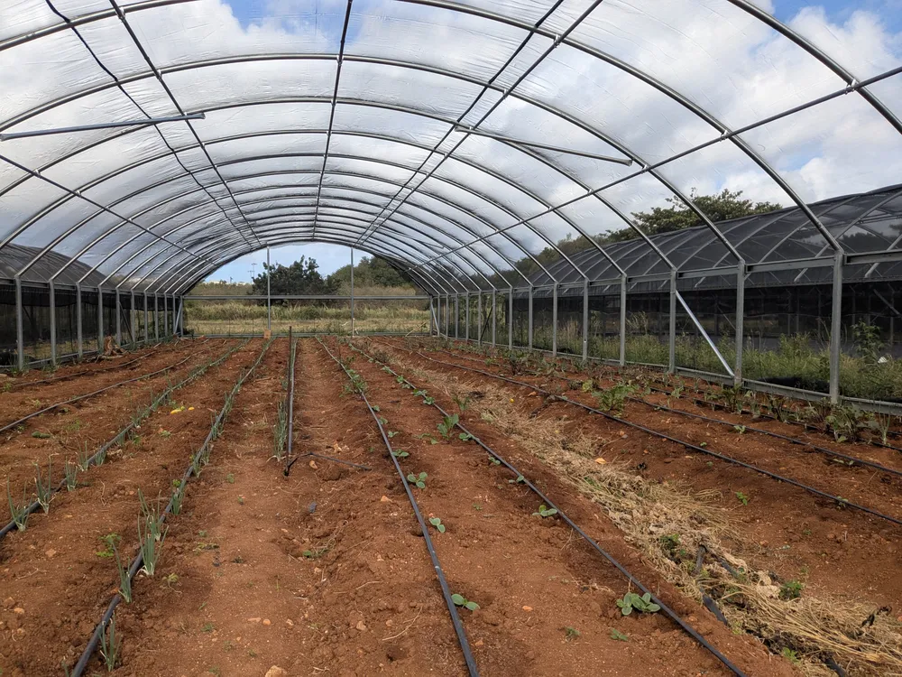 Greenhouse irrigation installation for agricultural project