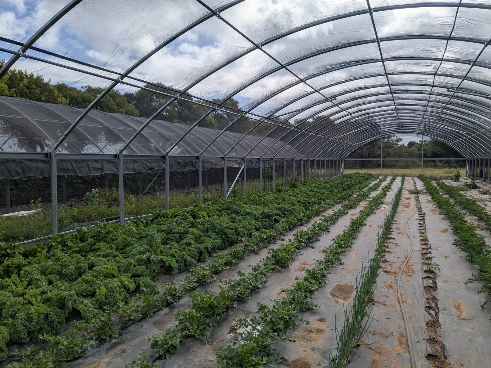 Greenhouse irrigation installation for an international agriculture project