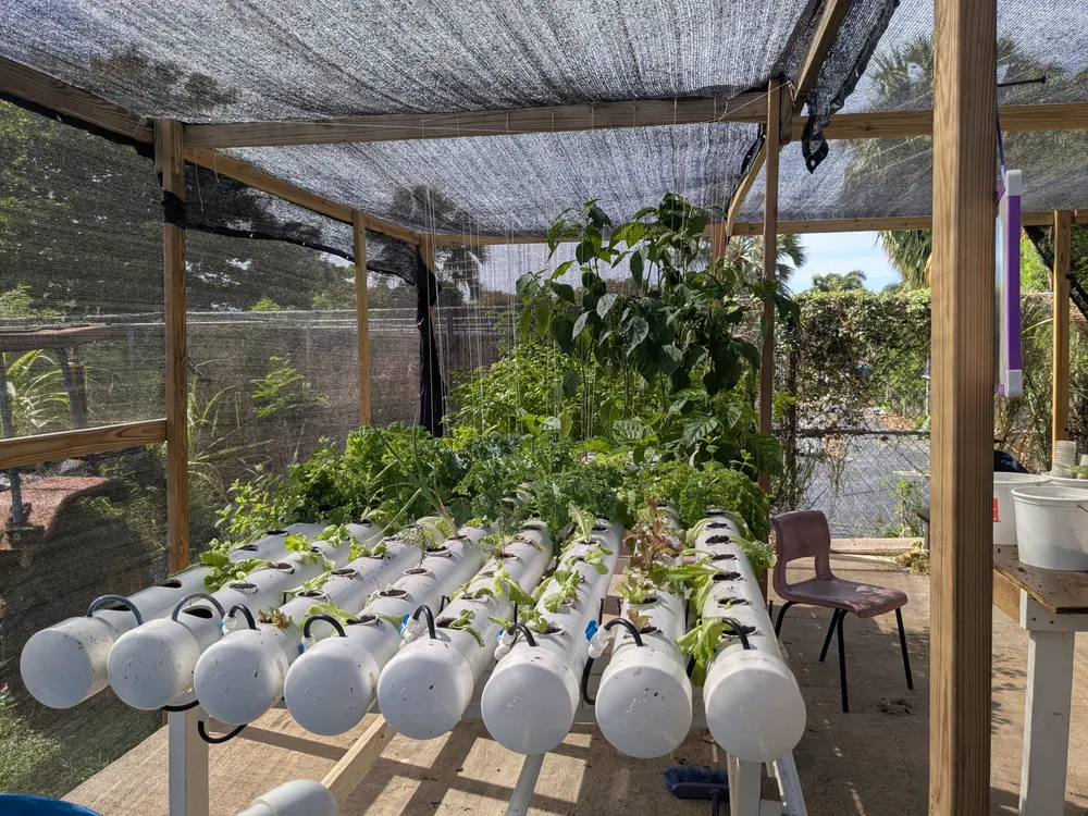 Solar array for a small-scale water or irrigation project