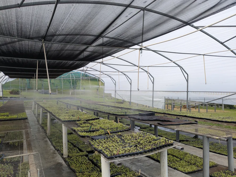 Solar-assisted watering in a greenhouse or protected agriculture context